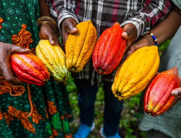 closeup-of-harvesters-hands-showing-yellow-and-red-2023-11-27-05-21-22-utc-min-scaled