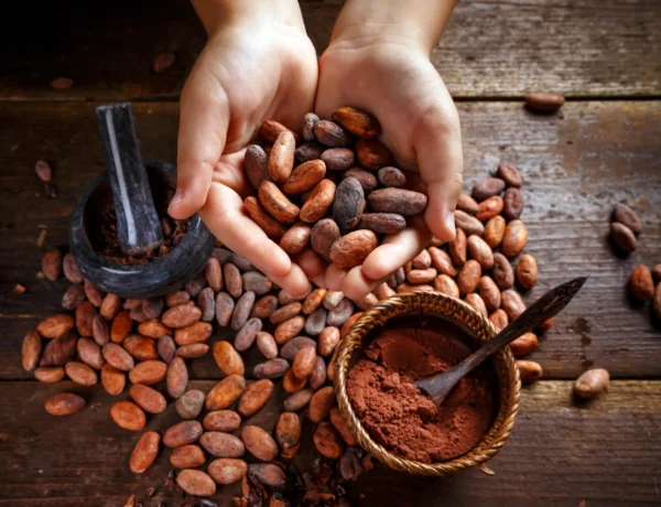 cocoa-beans-2023-11-27-05-26-59-utc-min (1)
