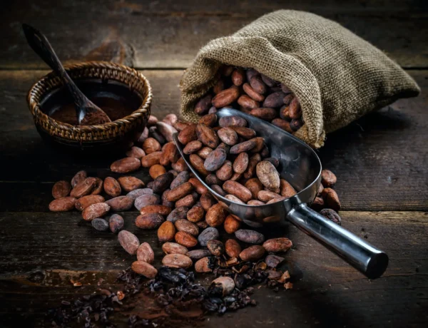 cocoa-powder-2023-11-27-04-46-19-utc-min